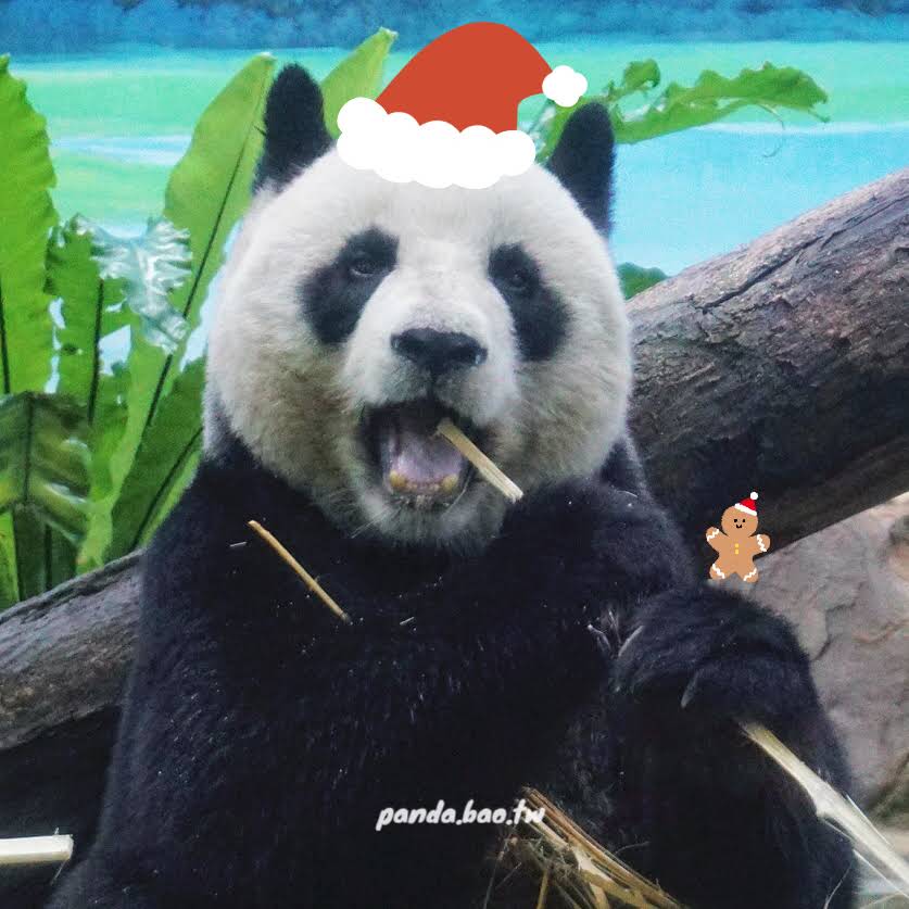 Post from pandabaooo