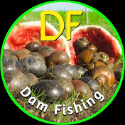 Dam Fishing