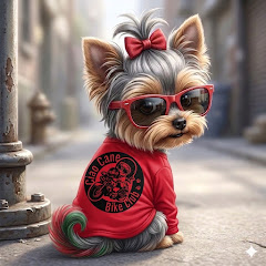 ヨーキーのチャオカーネ