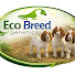 VTXKRs0pfIg-channel-avatar-EcoBreed Genetics Pakistan