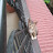 @Little-cat-9-f7q