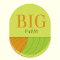 BIG Farm logo