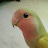 @darkspacelowend's avatar
