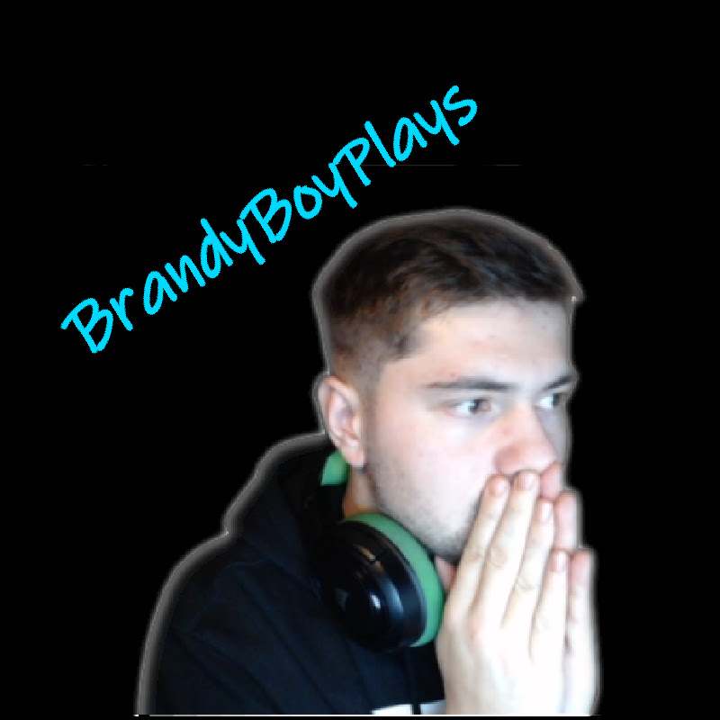 BrandyBoyPlays
