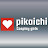 pikaichi 