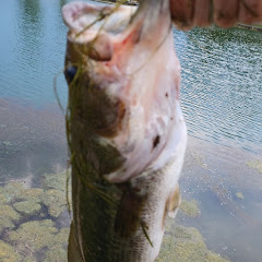 E5bigfishing