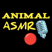 Animal ASMR 