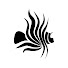 piacAj1a8fU-channel-avatar-Lionfish Caribbean