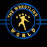 ez88HKiie_w-channel-avatar-The Wrestling World