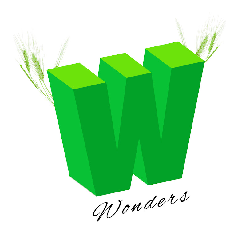 WELLNESS WONDERS1024