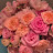 @좋은느낌-t5m