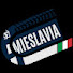 1AUeFhLD8Is-channel-avatar-#MIESLAVIA