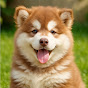 OwODay