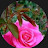 @mohamedkada91