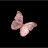@رقية-م5د5ي
