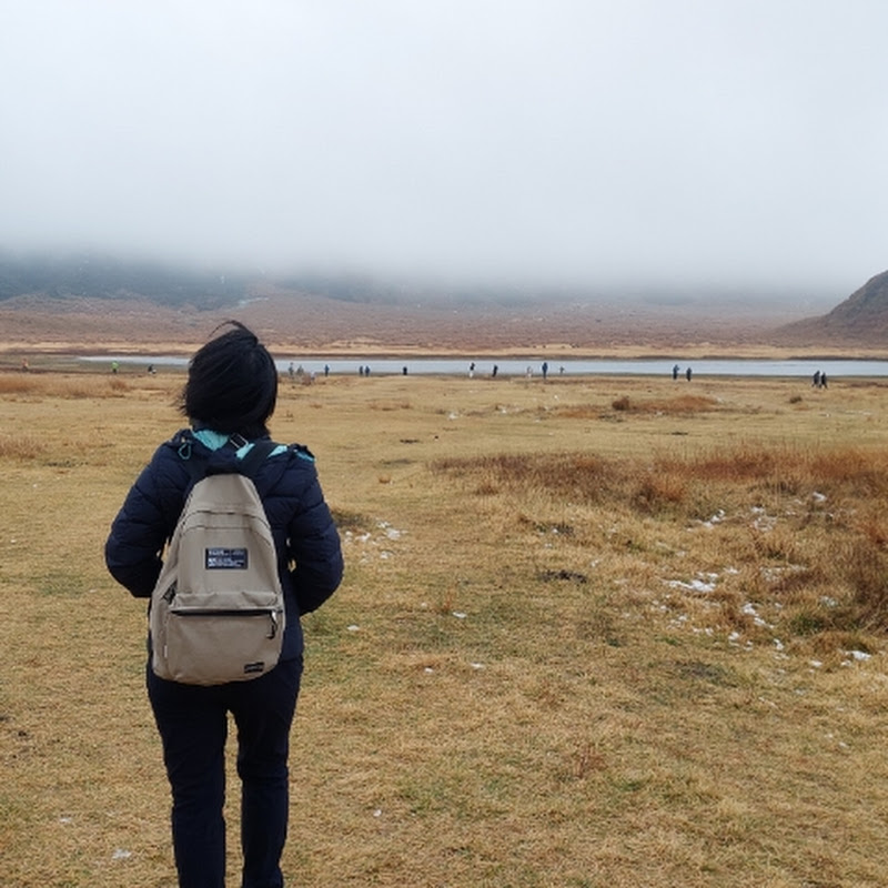 琦旅行 CHICHI TRAVEL