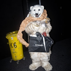 Live Konzerte von Jan Plewka