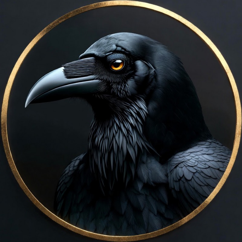 Black Raven | Westeros