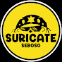 Suricate Seboso