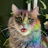 9QV_1ibv1Ng-channel-avatar-Em