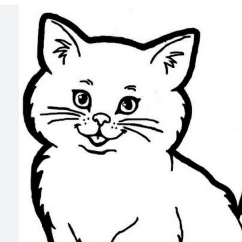 Raju Drawing Academy 