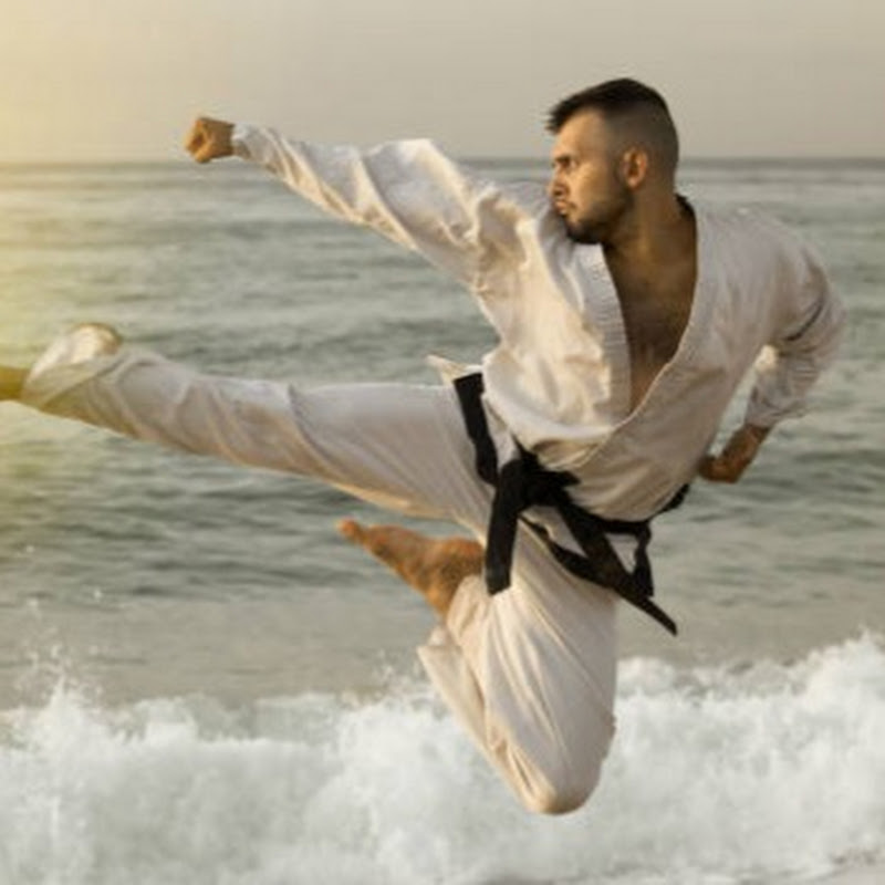 Hadi Sajjad Martial arts