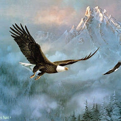 Eagles flying high