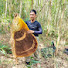 _KKIPnTFDLQ-channel-avatar-Thanh Honey bee