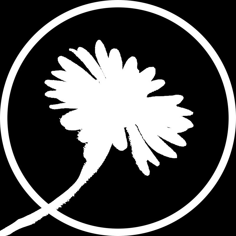 Daisy - Нарезки Плани