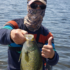 Sát Thủ Crappie