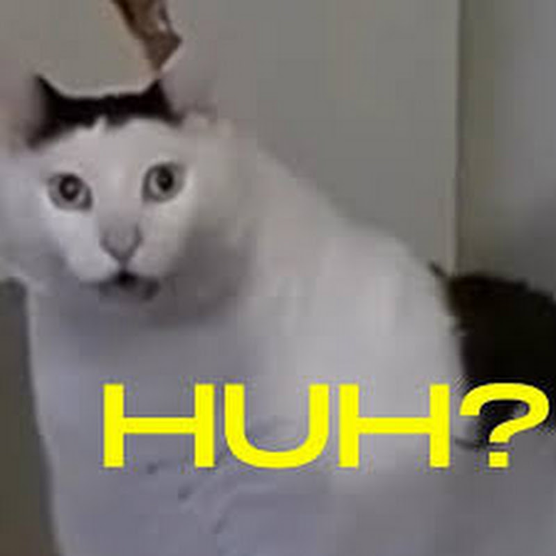 MadeUpRedditStories