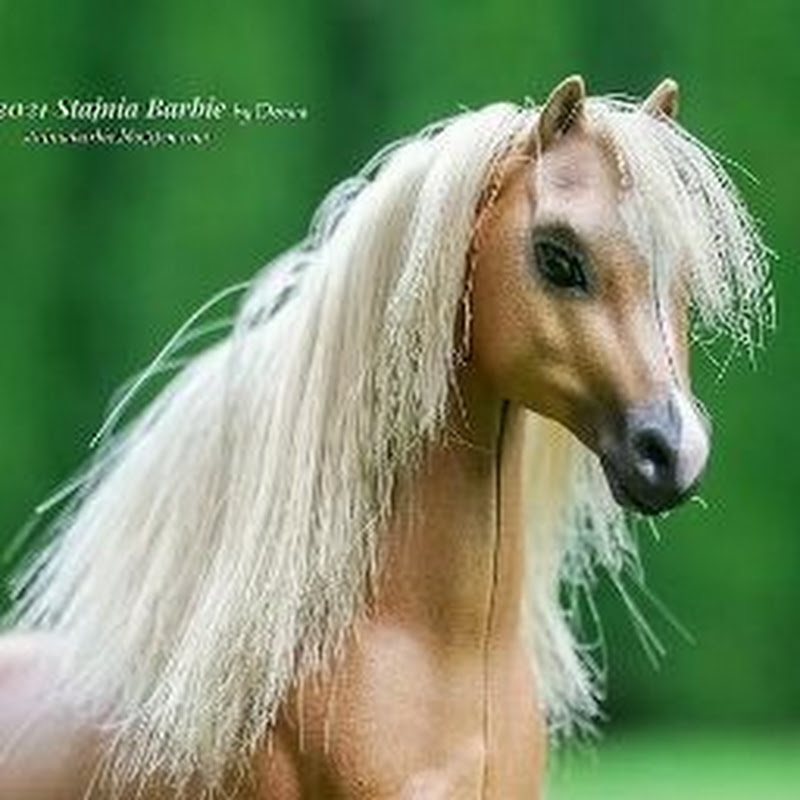 Barbie's stable by Donka
