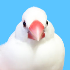 たいち