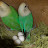 @SomaDebnath-x5j Avatar