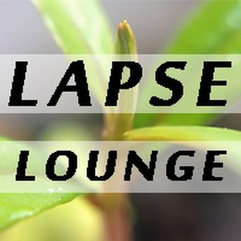 Lapse Lounge