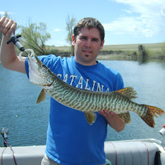 Get Some Custom Baits
