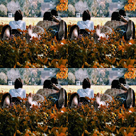 thumbnail img1x1