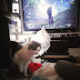 @neko_baba