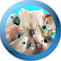 5fq_PzunmCE-channel-avatar-ChloeSanctuary