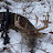 @NativePrideOutdoors Avatar