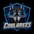 abATJcxQQO4-channel-avatar-Coolbrees24 
