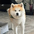 cNdKX_qNSRU-channel-avatar-PetLaugh Planet