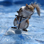 Twiggy the Water Skiing Squirrel logo