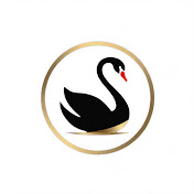 黑天鹅之后 | Beyond The Black Swan