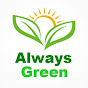 Always Green Carpet Cleaner NYC logo