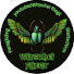 2Q7JF1Qql1E-channel-avatar-Witschei fliegt