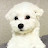 @조몽테니스