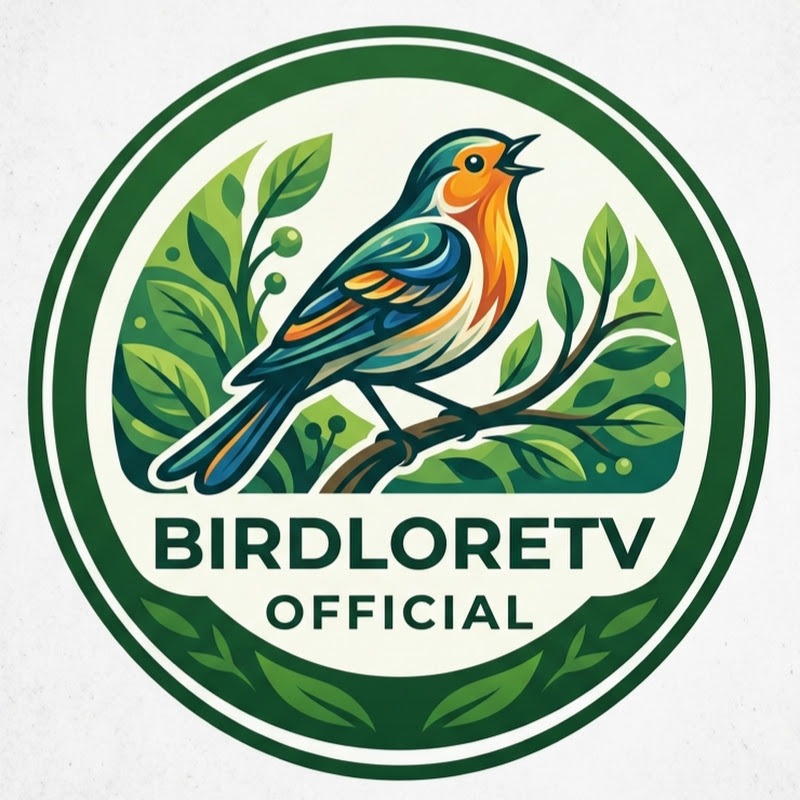 BirdLoreTV