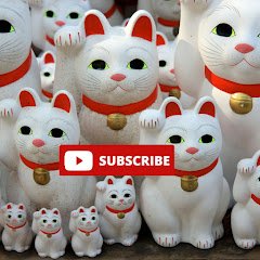 Japan at Ground Level