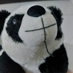 bdul